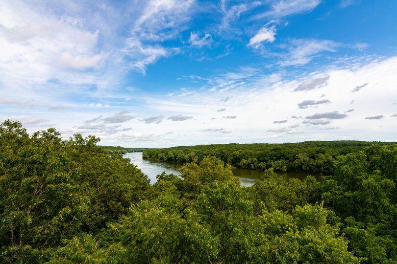4. Illinois